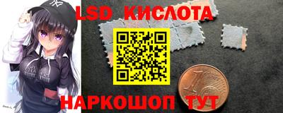 apvp Свободный