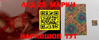apvp Свободный