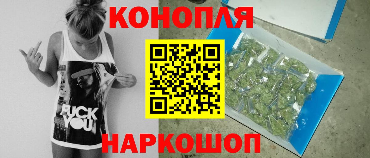 Бошки марихуана план Отрадное